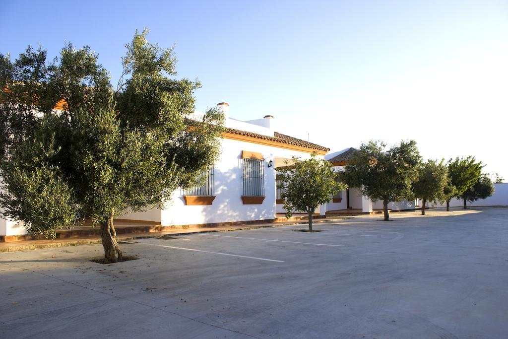Villa La Dehesa Conil De La Frontera Rum bild